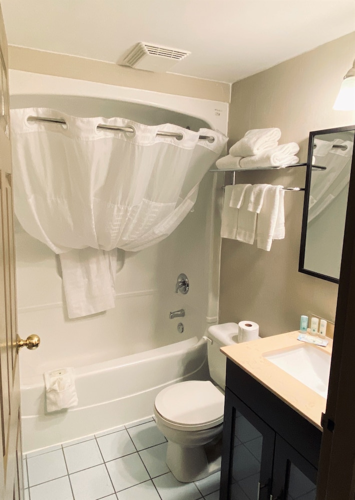 Exterior Suite, 1 King Bed, Non Smoking