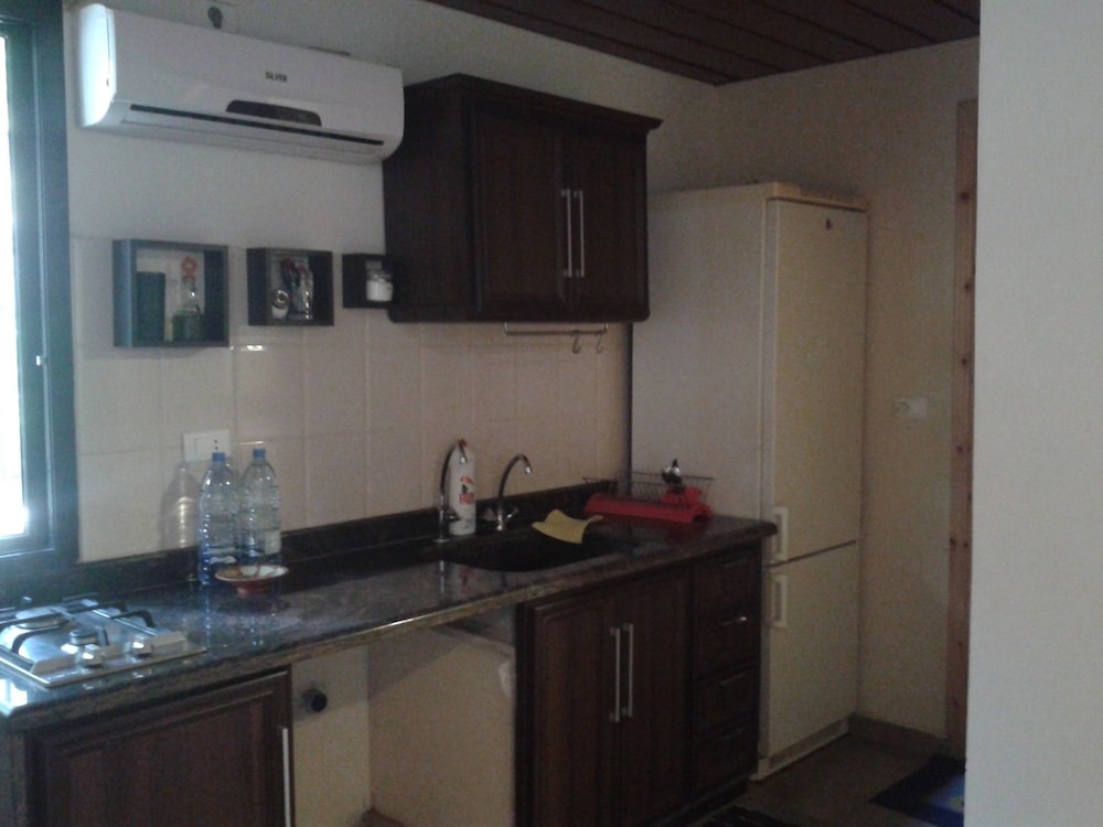 Suite, 1 Bedroom, Mountain View photo 2