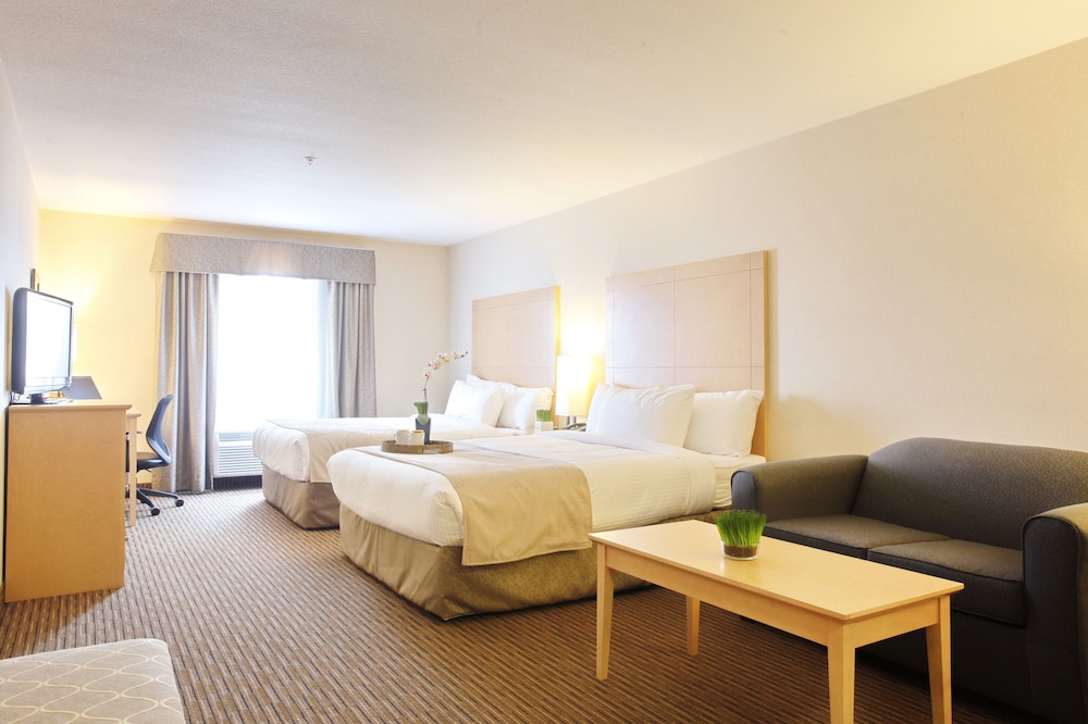 Standard Double Room, Multiple Beds photo 1