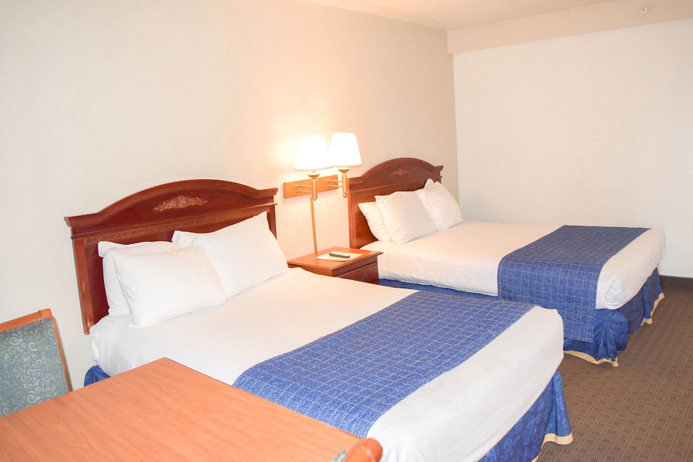 Premium Room, 2 Double Beds