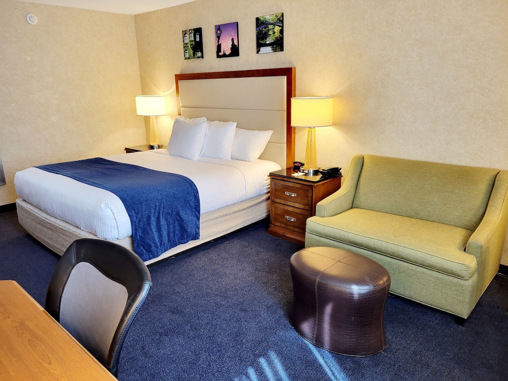 Standard Single Room, 1 King Bed, Non Smoking photo 3
