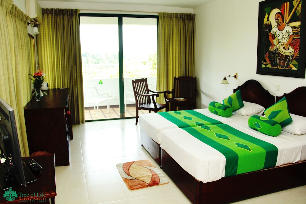Deluxe Room - Photo 20