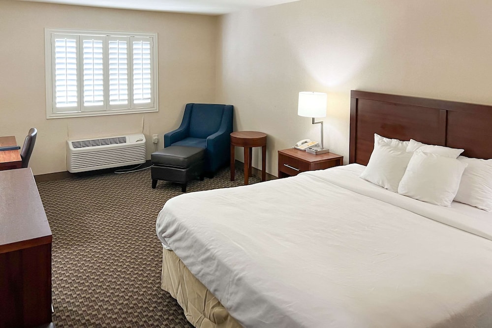 Standard Room, 1 King Bed, Non Smoking
