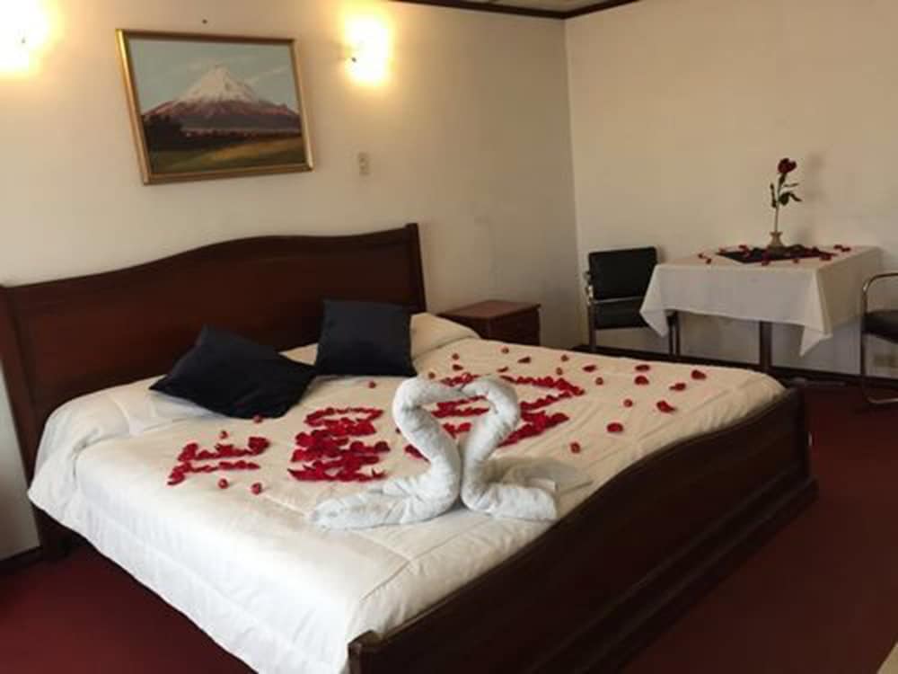 Executive Double Room, 1 Double Bed photo 3