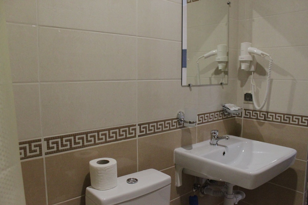 Premium Double Or Twin Room photo 3