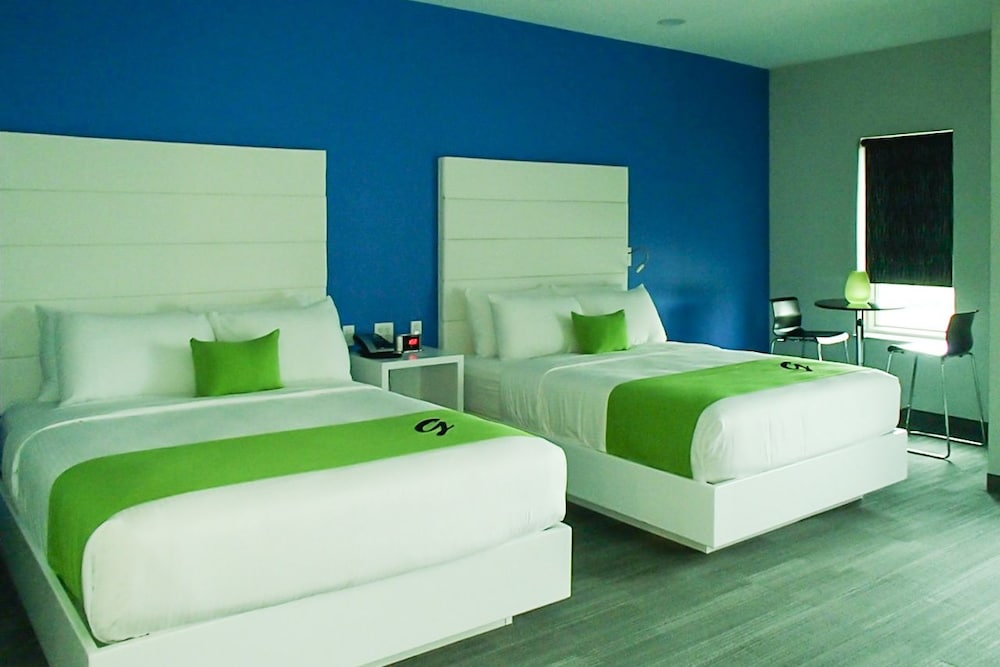 Luxury Suite photo 1