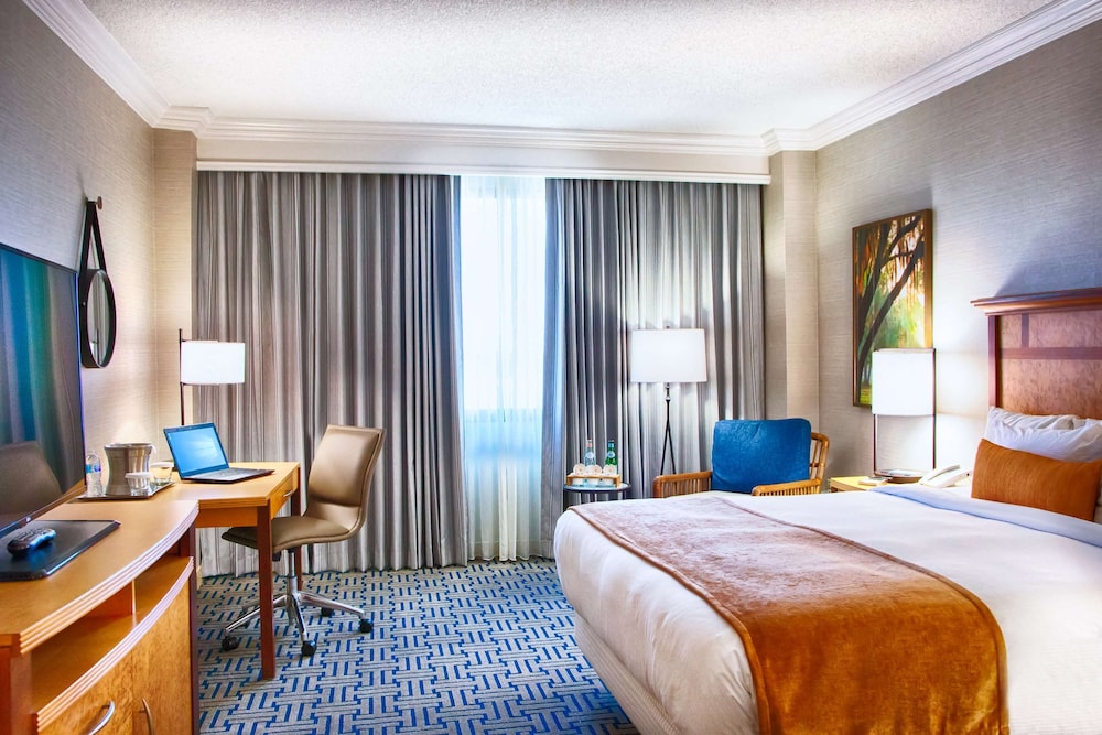 Suite, 1 King Bed photo 1