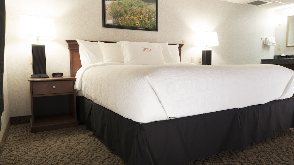 Studio Suite, 1 King Bed photo 2