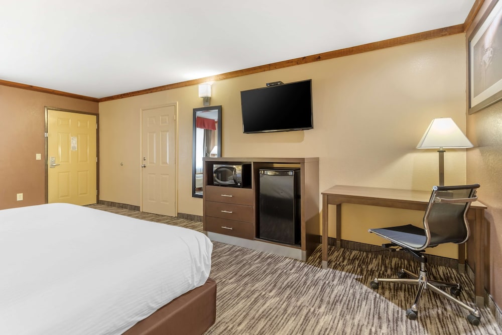 Standard Room, 1 King Bed, Accessible, Non Smoking photo 2