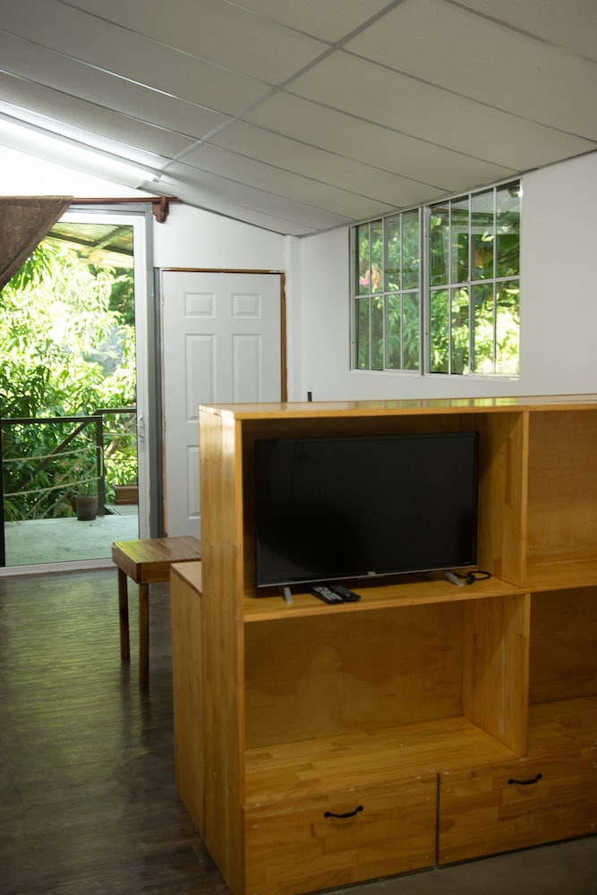 Premium Studio, 1 King Bed, Terrace with HOT WATER photo 3