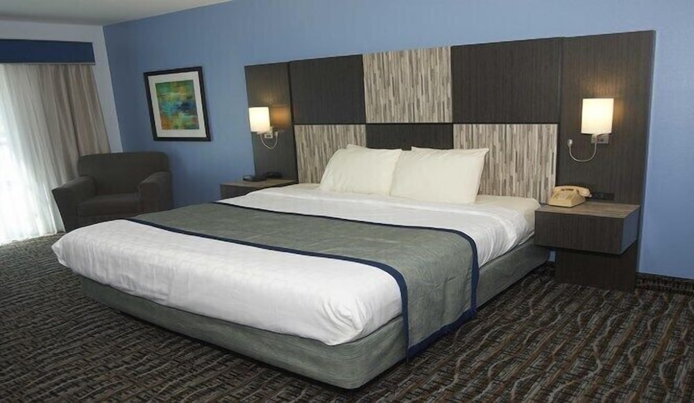 Single Room, 1 King Bed, Accessible - Photo 1