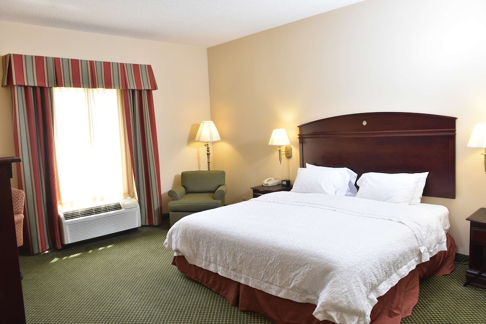 Room, 1 King Bed, Non Smoking photo 1
