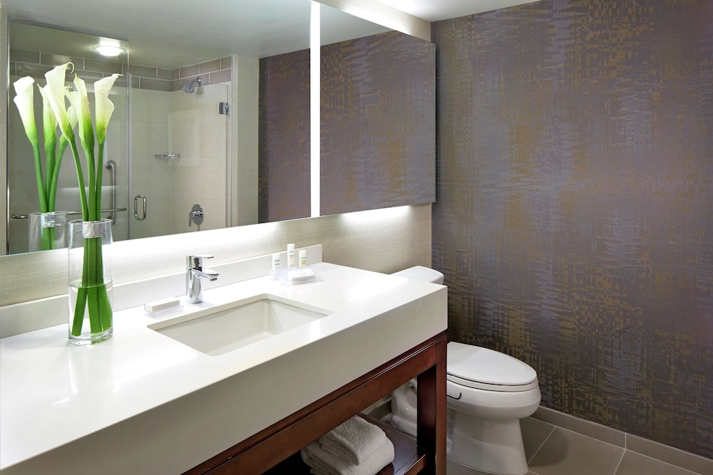 Room, 1 King Bed, Accessible, Bathtub (Hearing) - Photo 5