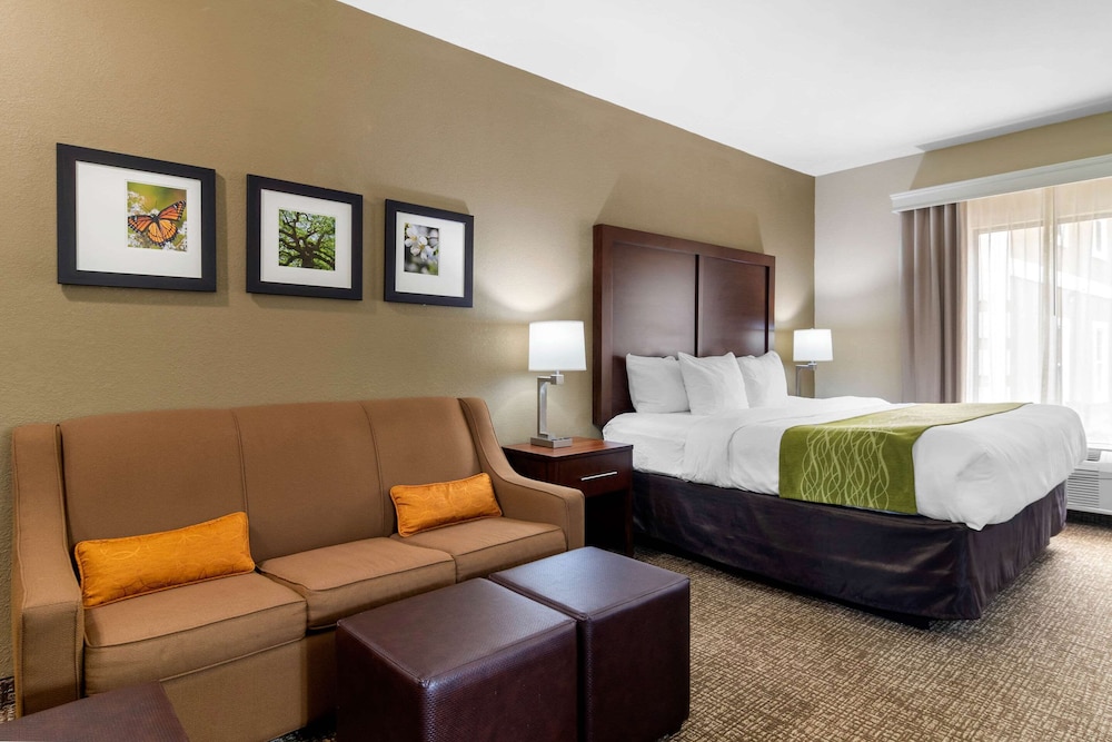 Suite, 1 King Bed with Sofa bed, Non Smoking (Efficiency) - Photo 4