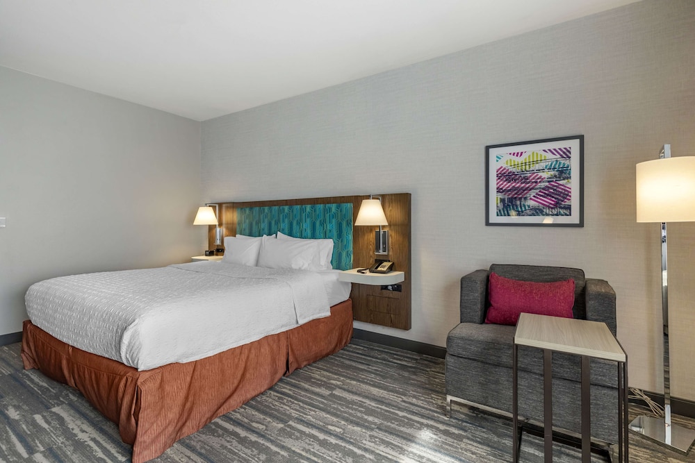 Room, 1 King Bed, Accessible (Roll-In Shower) - Photo 2