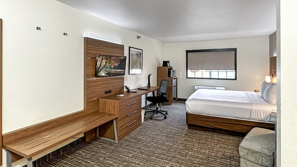 Deluxe Single Room photo 3