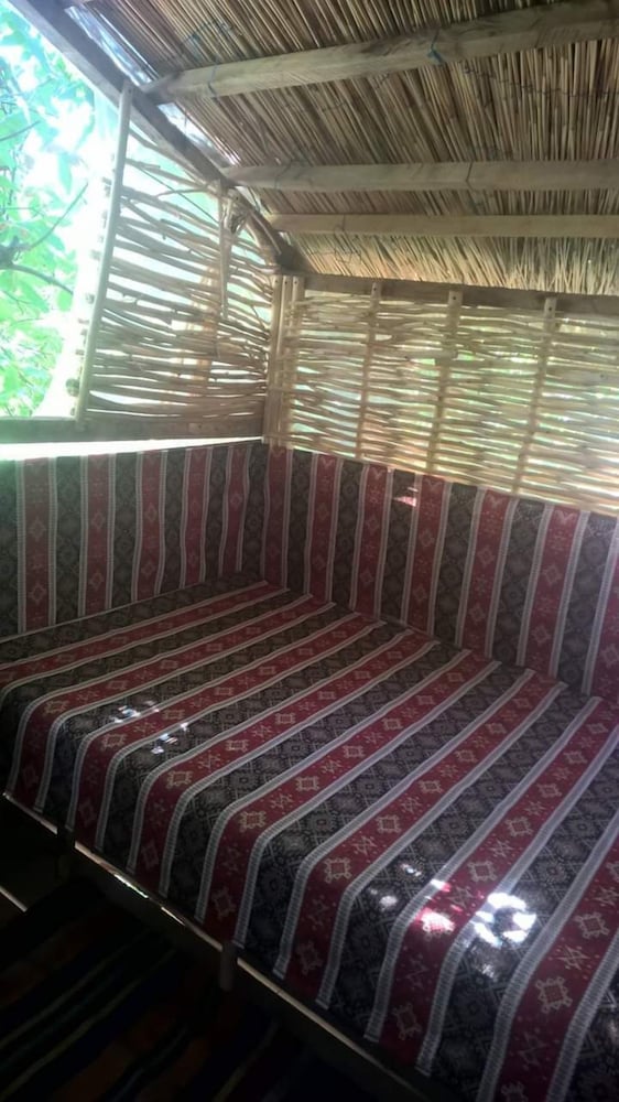 Exclusive Tree House photo 1