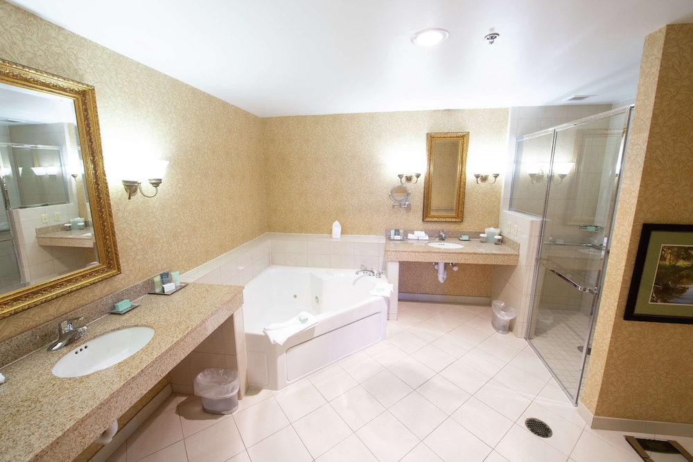 Deluxe Suite - Photo 3