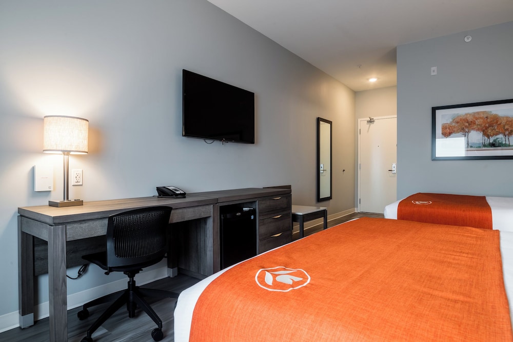 Standard Room, 2 Queen Beds, Non Smoking (Pet-Friendly) photo 3