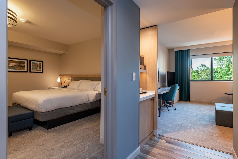 Suite, 1 King Bed - Photo 2