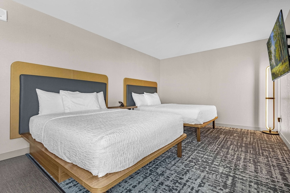 Studio Suite, 2 Queen Beds photo 2