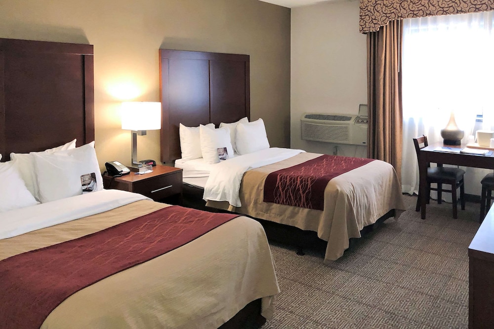 Standard Double Room, 2 Double Beds, Non Smoking - Photo 1