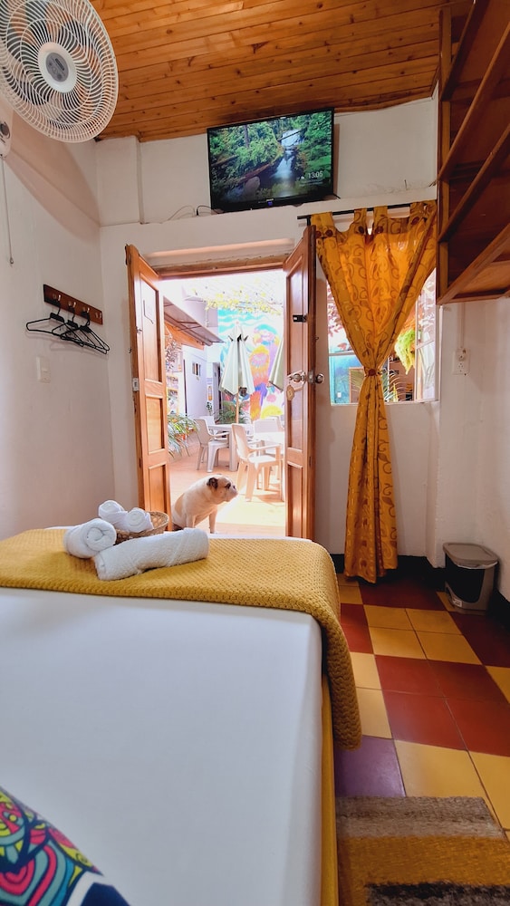Standard Double Room, 1 Large Twin Bed, Shared Bathroom, Courtyard View photo 3