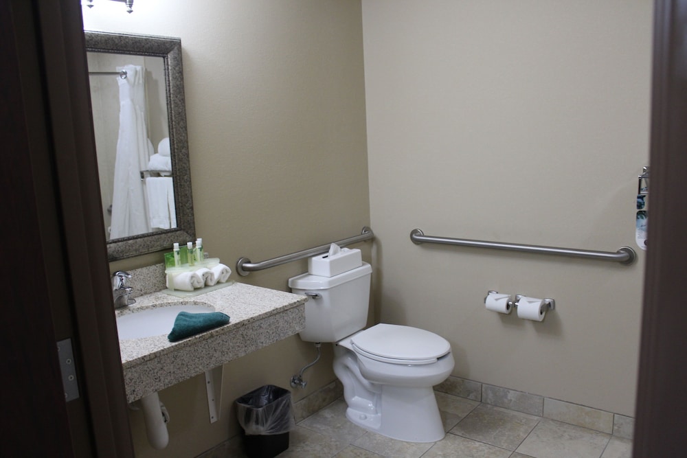 Suite, 1 King Bed, Accessible (Communications Accessible) - Photo 12