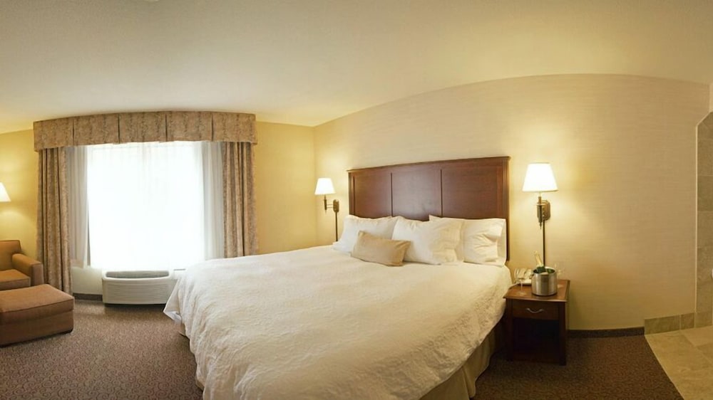 Room, 1 King Bed, Accessible