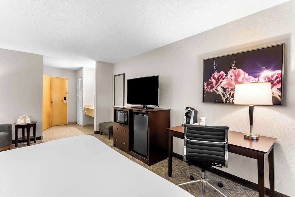 Standard Room, 1 King Bed, Non Smoking, Refrigerator & Microwave - Photo 3