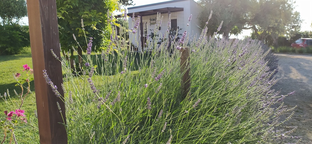 Single Room, Garden View photo 3