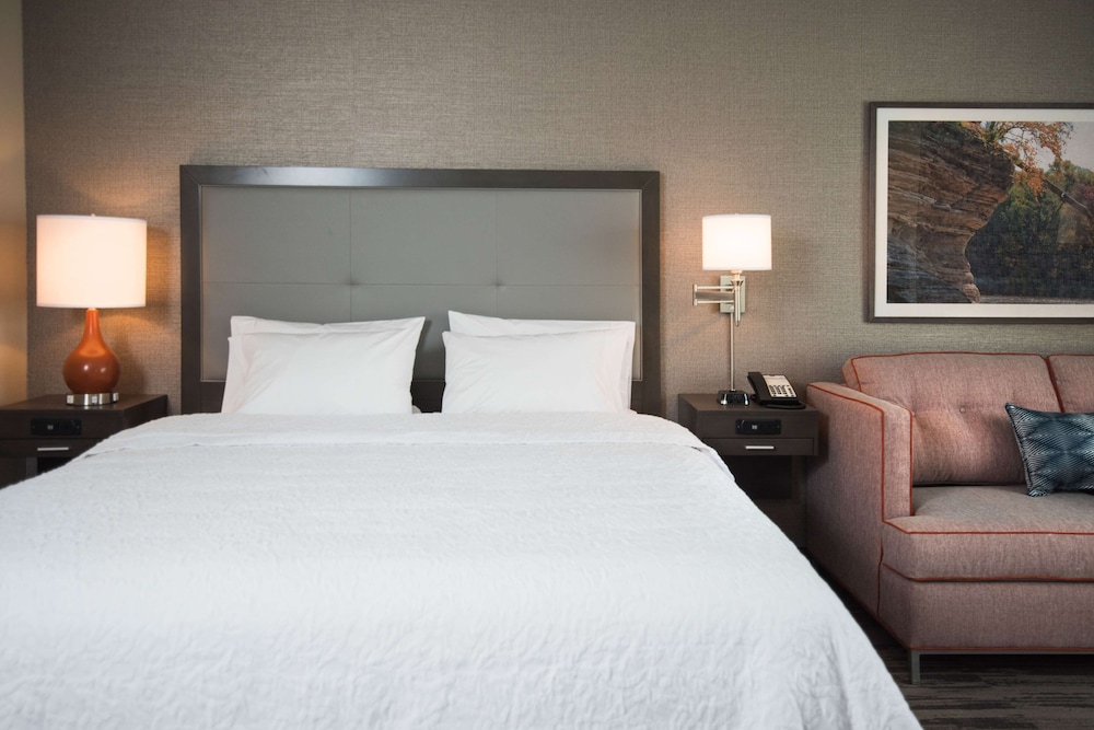 Room, 1 King Bed, Non Smoking photo 1