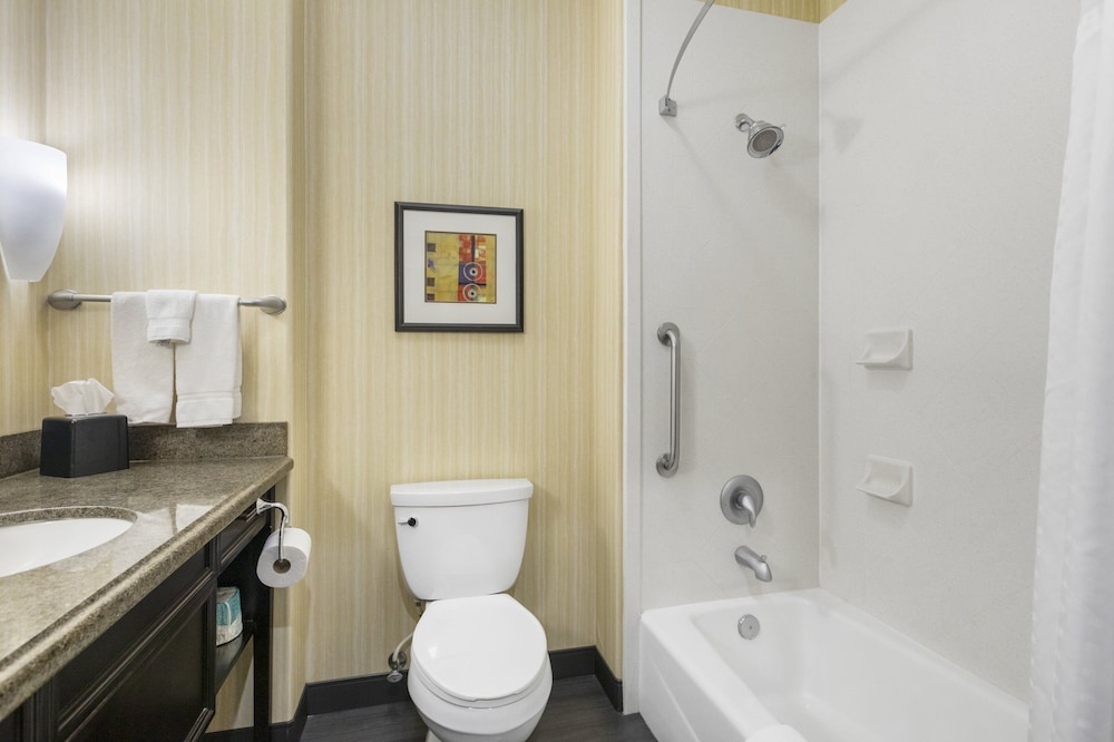 Suite, 1 Bedroom, Accessible (Mobility Tub) photo 3