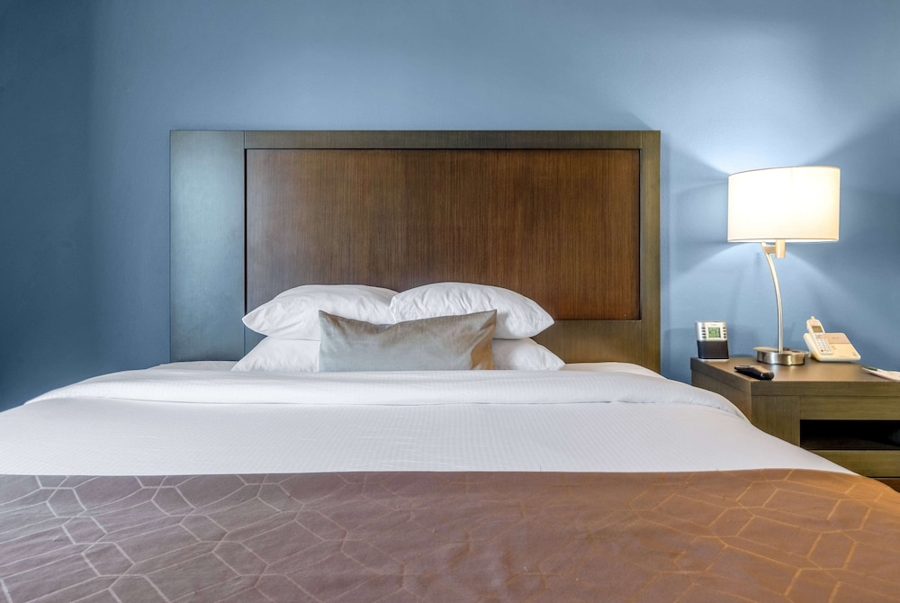 Studio Suite, 1 King Bed with Sofa bed, Non Smoking - Photo 5