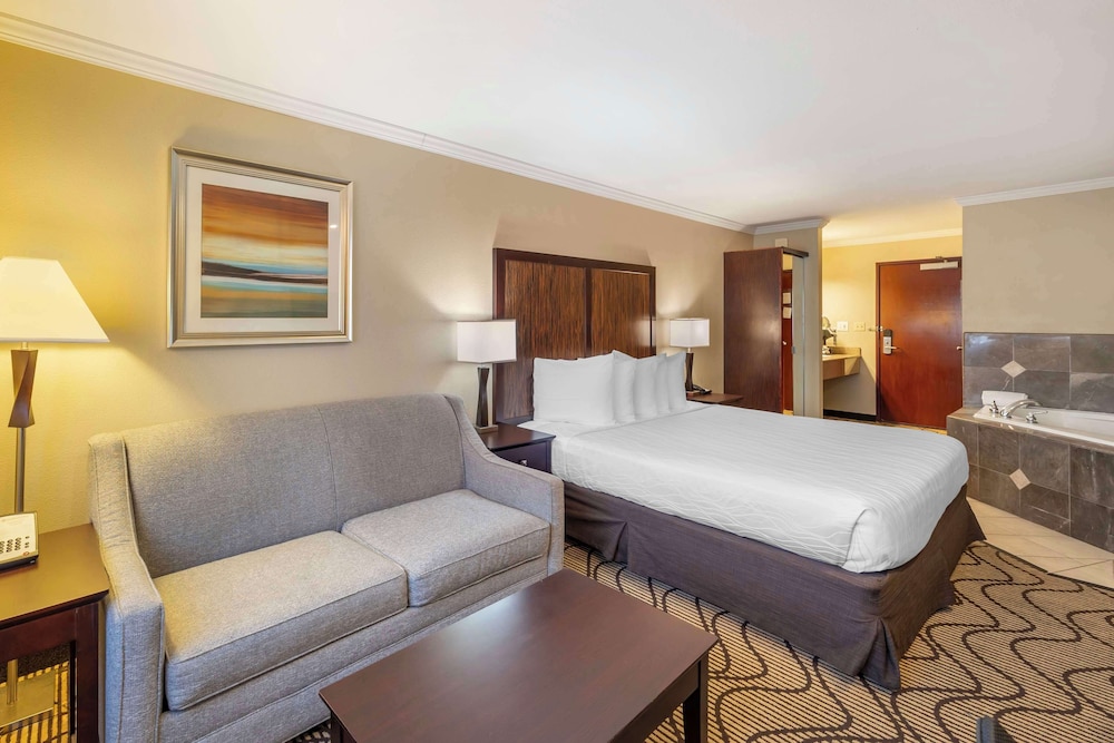 Standard Room, 1 King Bed, Non Smoking, Jetted Tub (with Sofabed) - Photo 1