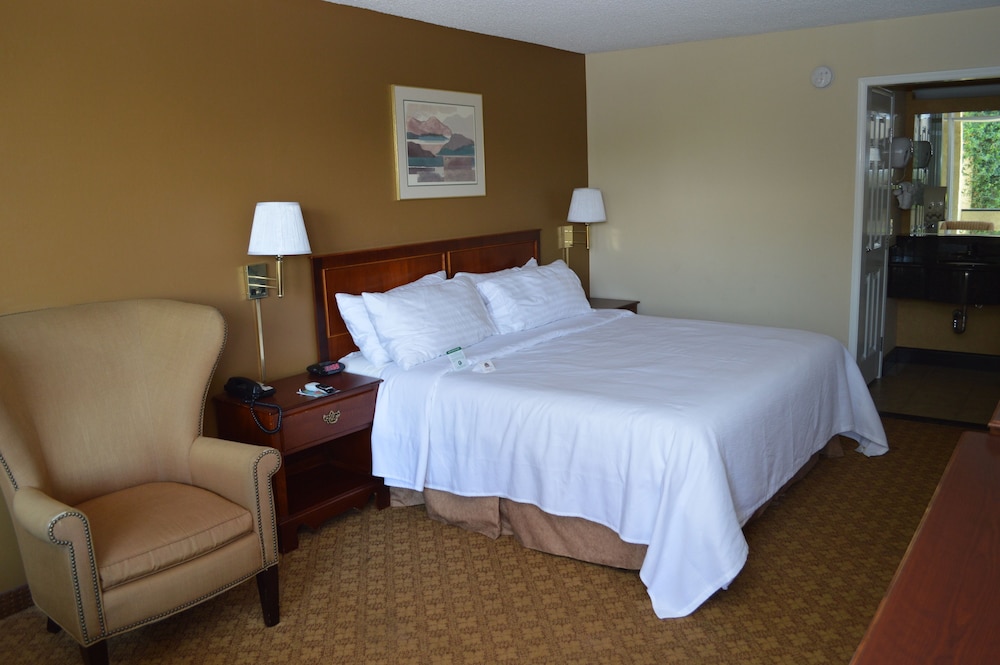 Deluxe Room, 1 King Bed, Accessible - Photo 1