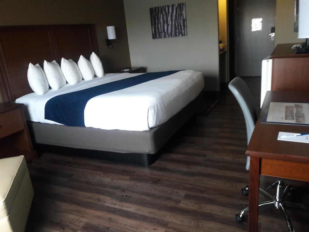 Standard Room, 1 King Bed, Non Smoking, Refrigerator & Microwave (Pet Friendly) - Photo 1