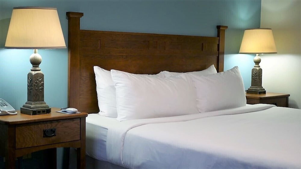 Premium Room, 1 King Bed photo 1