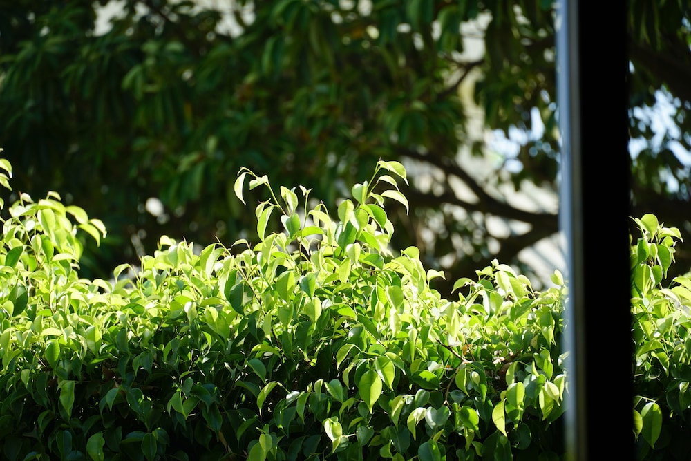 Garden View Twin Room - Photo 4