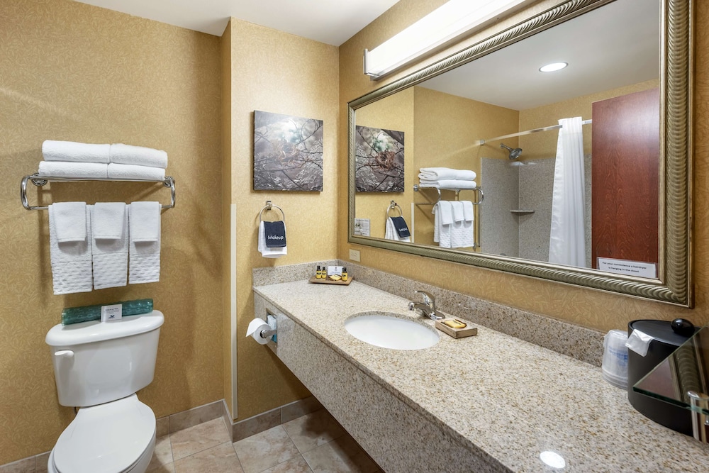 Suite, 2 Queen Beds, Non Smoking, Refrigerator & Microwave - Photo 6