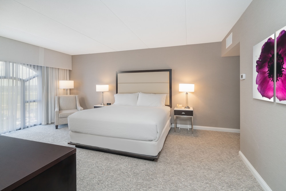 Suite, 1 Bedroom - Photo 1