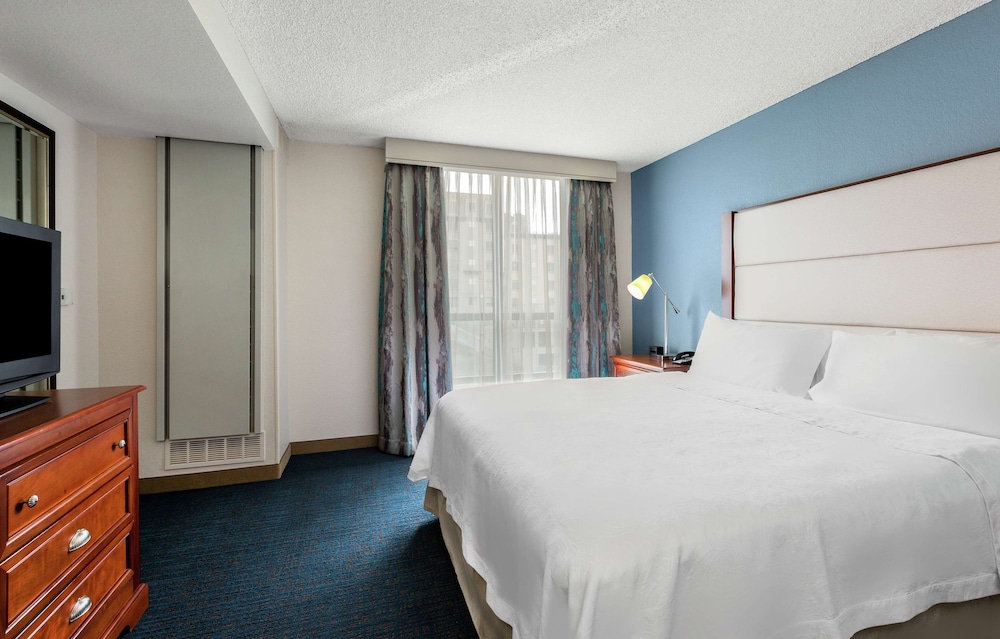 Suite, 1 Bedroom (1 King Bed with Sofa bed) - Photo 4