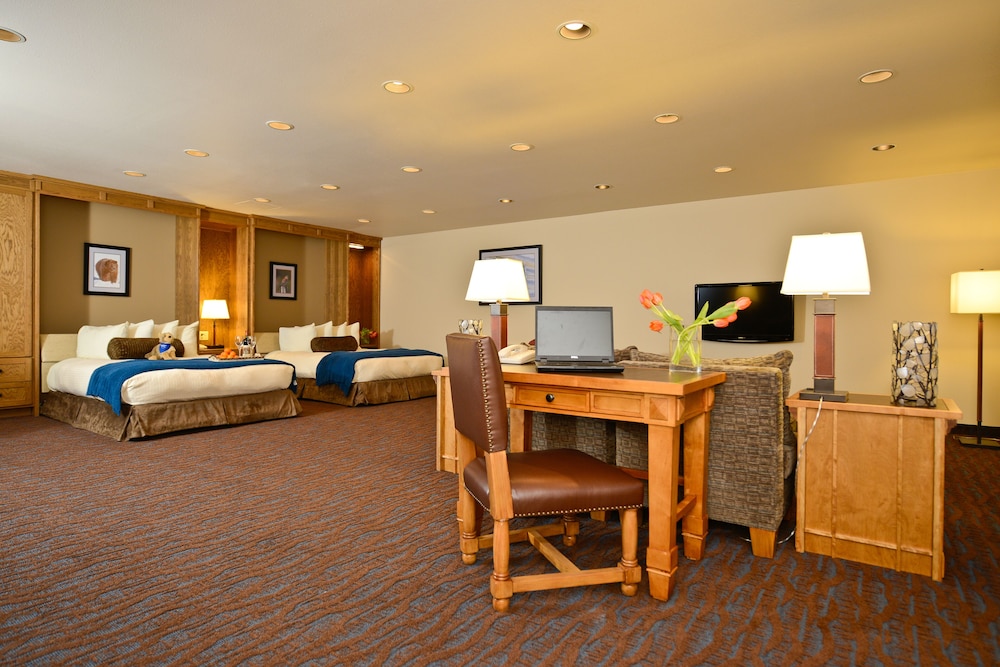 Room, Multiple Beds, Kitchen, Courtyard Area - Photo 2
