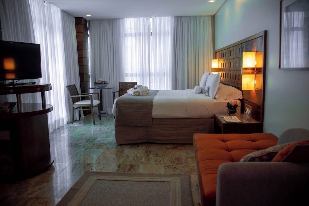 Suite - Photo 2