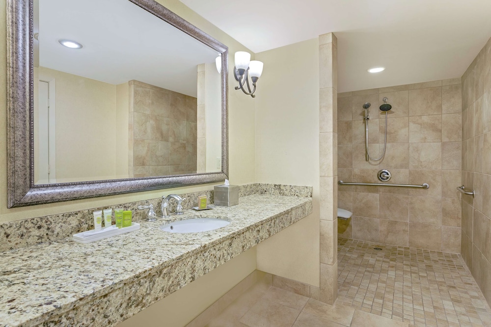 Suite, 1 King Bed, Accessible - Photo 6
