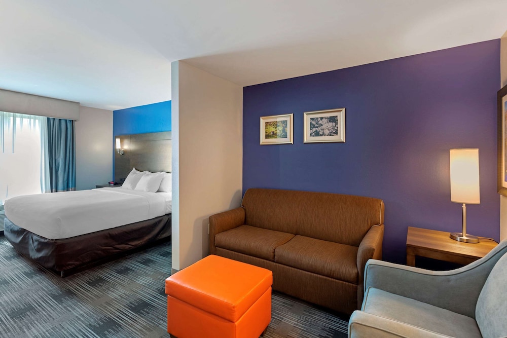 Suite, 1 King Bed with Sofa bed, Accessible, Non Smoking (2 Person Sofa Bed) photo 2