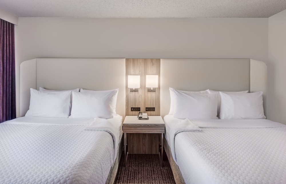 Suite photo 2