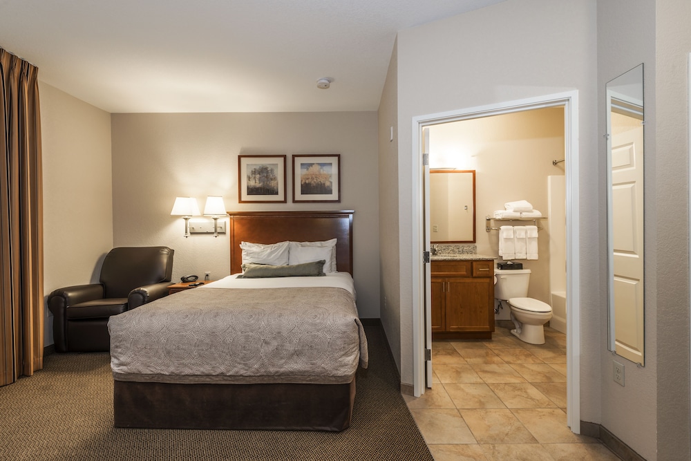 Suite, 1 Bedroom - Photo 4
