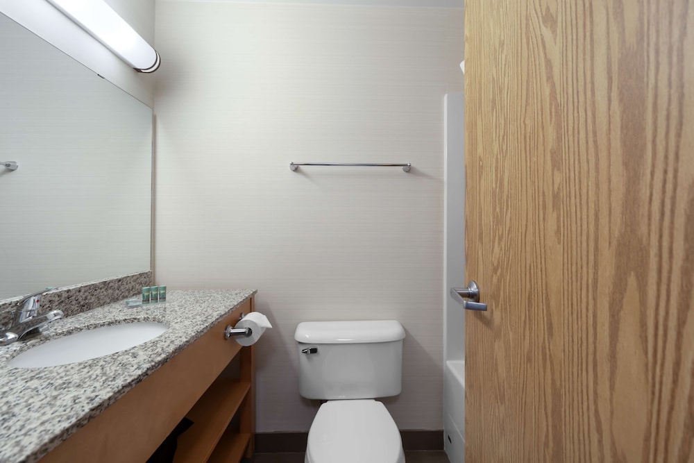 Suite, 1 King Bed, Non Smoking, Fireplace (No Pets in room type; Sofabed) - Photo 4