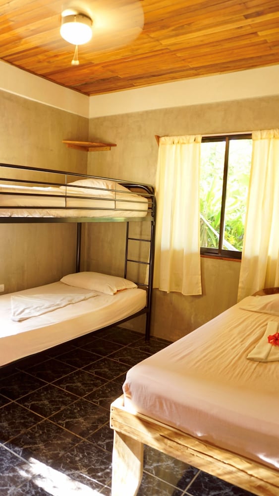 Comfort Apartment, 2 Bedrooms photo 2